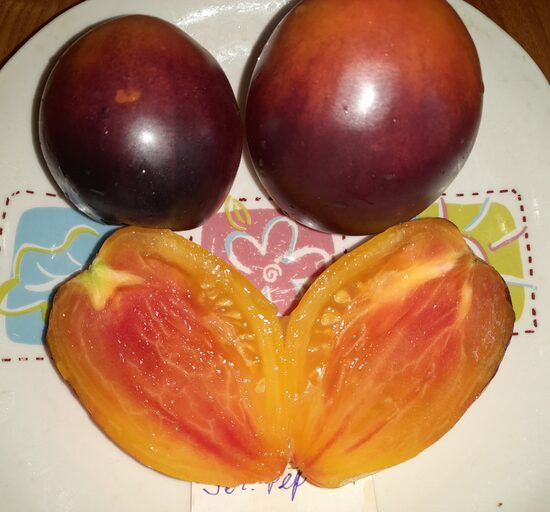 Сержант Пеппер Биколор